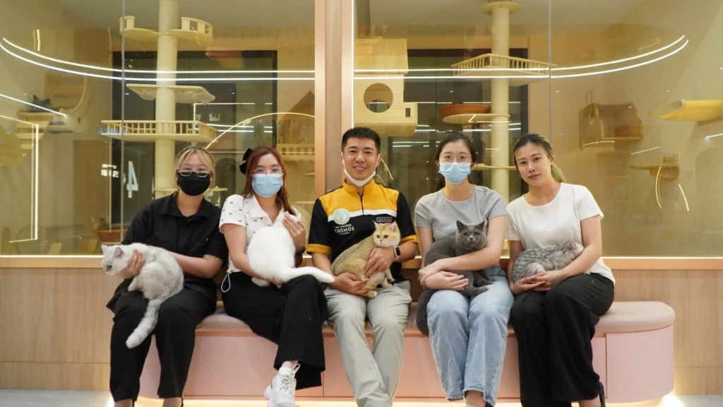 Picture of Professional Cat Grooming Course | Pet Universe Cosmos